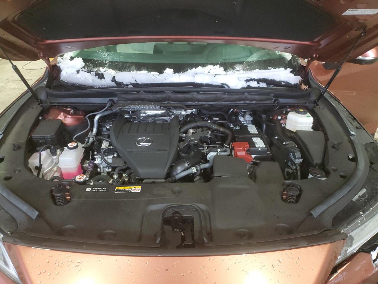 2023 LEXUS RX 350 BASE VIN:2T2BAMCAXPC036808