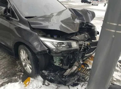 2020 Kia Carnival KNAME81ABLS641559 VIN:KNAME81ABLS641559