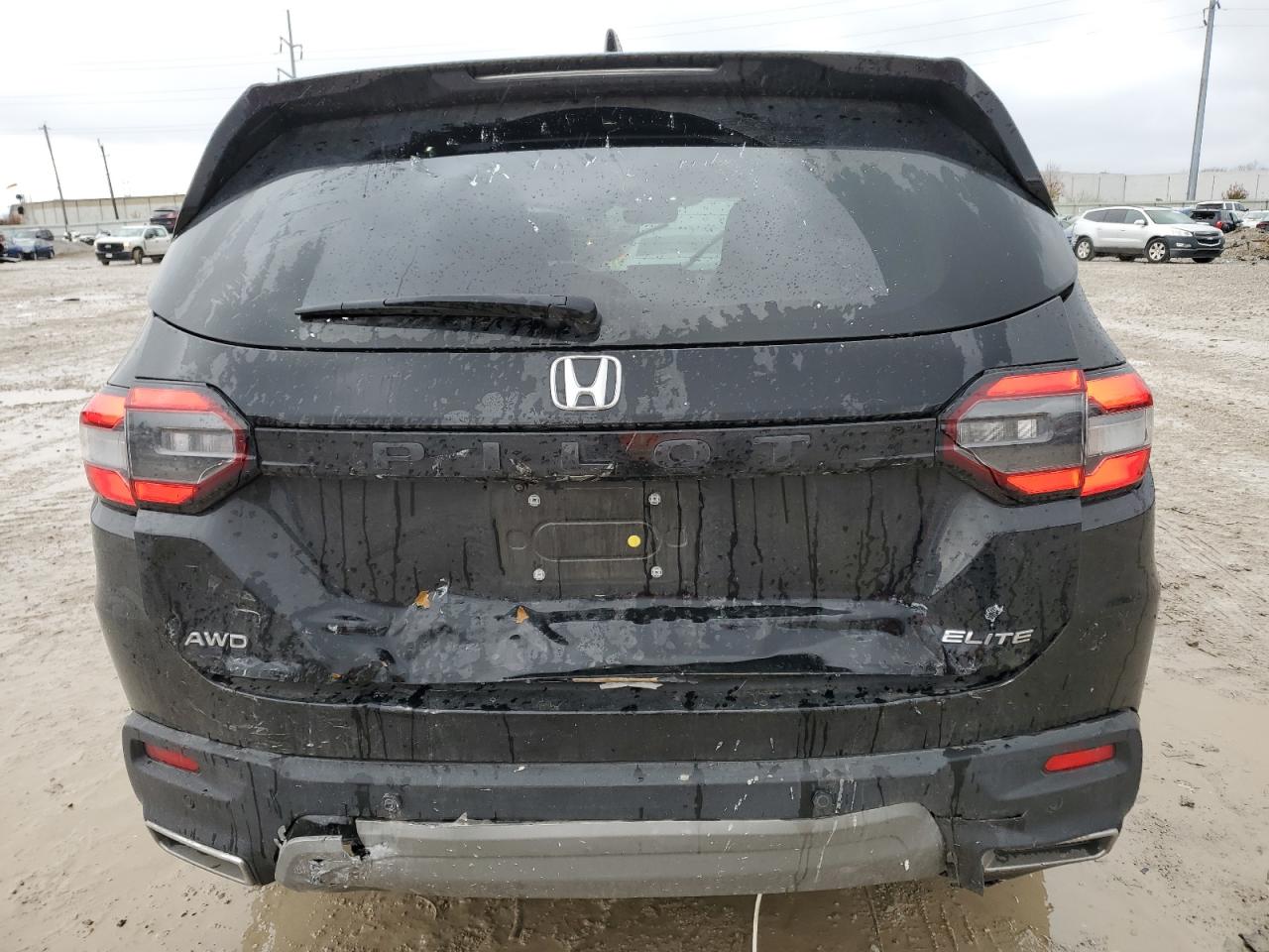 2023 HONDA PILOT ELITE VIN:5FNYG1H82PB042003