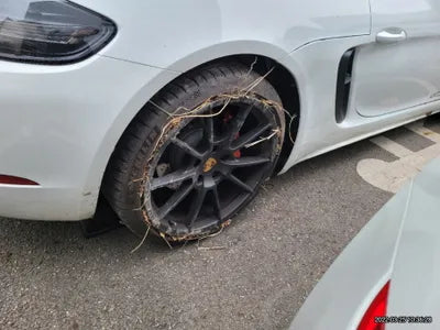 2021 Porsche 718 WP0CD2989MS232385 VIN:WP0CD2989MS232385