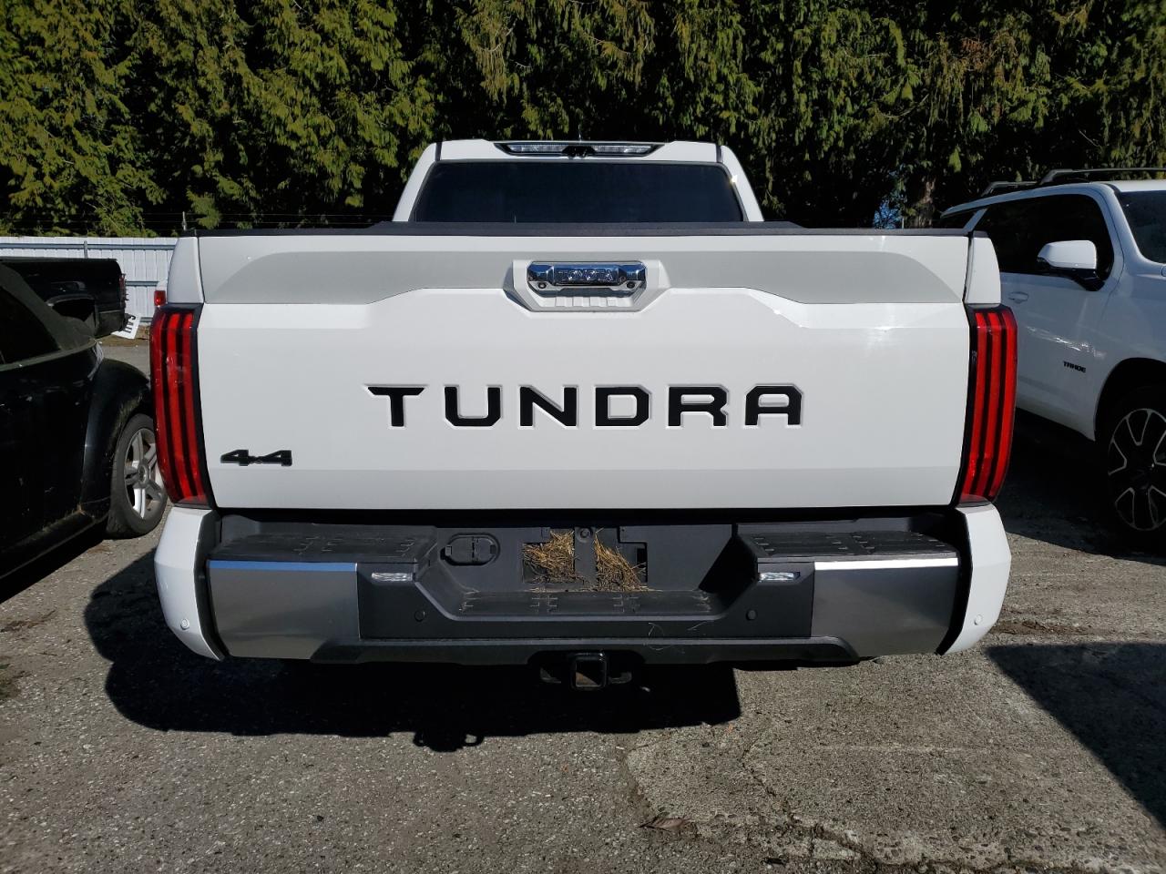 2023 TOYOTA TUNDRA CREWMAX LIMITED VIN:5TFJA5EC1PX015920