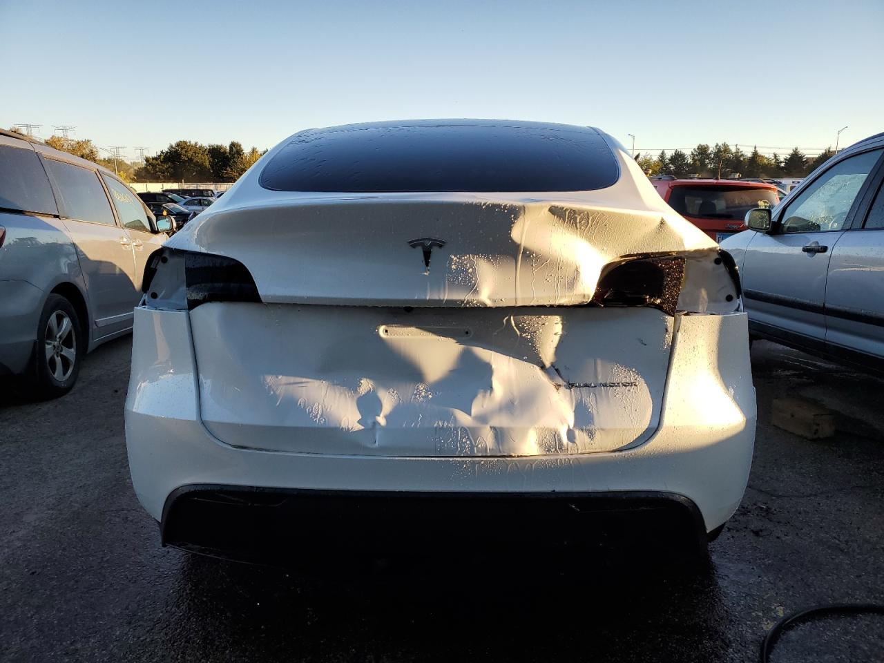 2023 TESLA MODEL Y  VIN:7SAYGAEE0PF772926