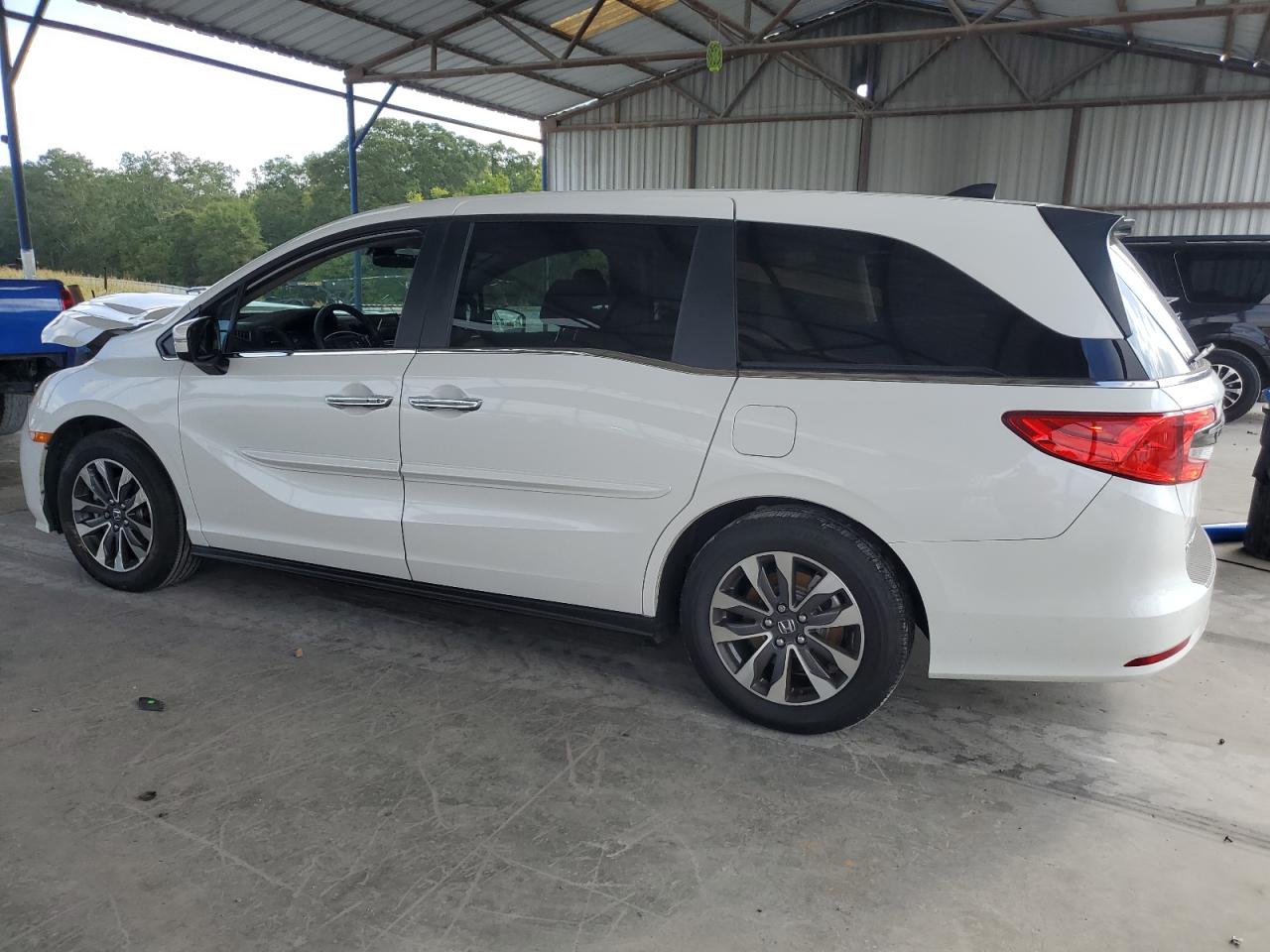 2024 HONDA ODYSSEY EXL VIN:5FNRL6H69RB014584