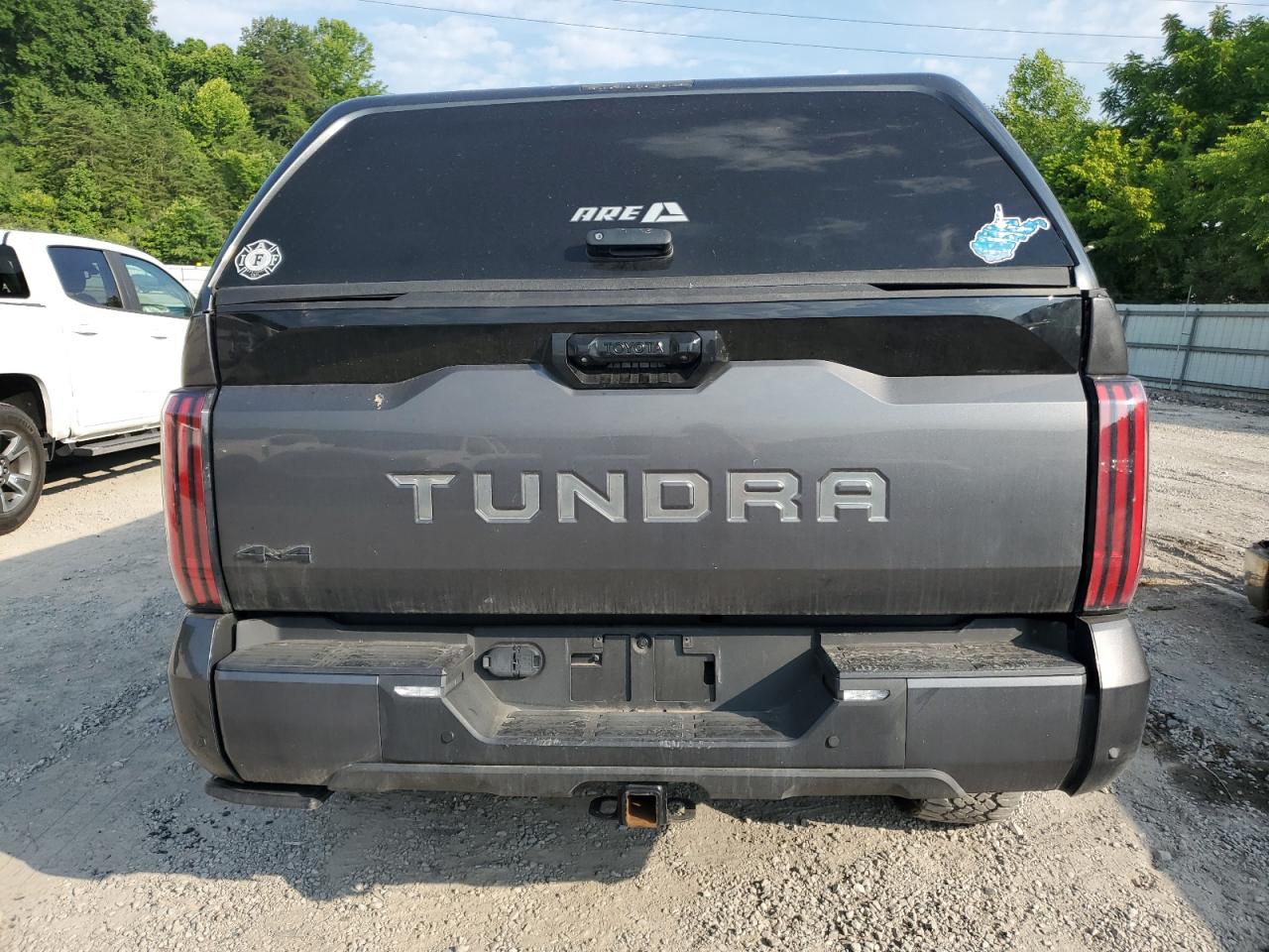 2023 TOYOTA TUNDRA CREWMAX PLATINUM VIN:5TFNC5DB1PX020040