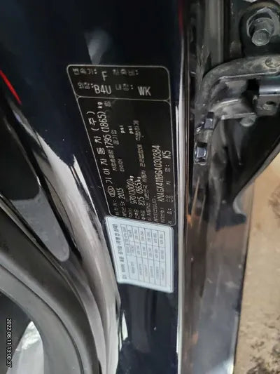 2016 Kia K5 KNAGX411BGA030384 VIN:KNAGX411BGA030384