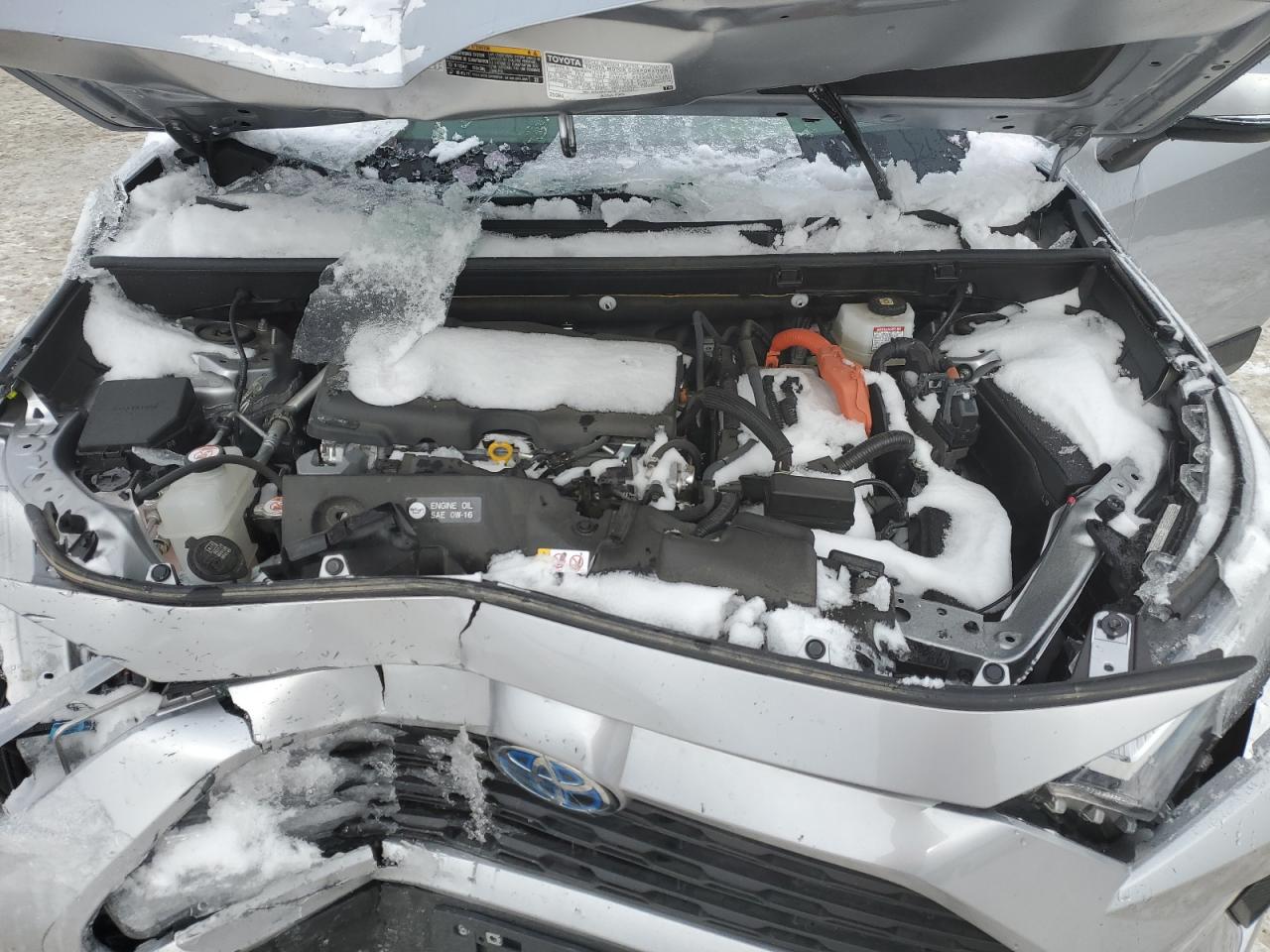 2023 TOYOTA RAV4 XLE VIN:JTMRWRFV9PJ057928
