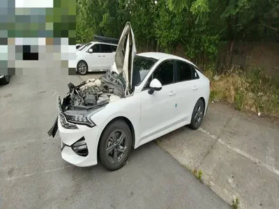 2021 Kia K5 VIN: