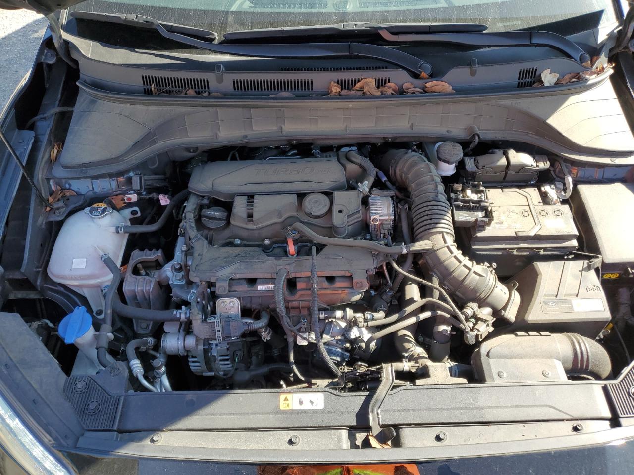 2023 HYUNDAI KONA N LINE VIN:KM8K33A33PU943766