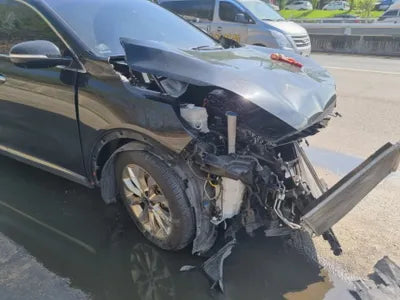 2017 Kia Sorento KNAPH81ABJA396421 VIN:KNAPH81ABJA396421