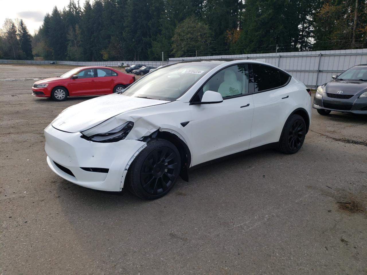 2024 TESLA MODEL Y  VIN:7SAYGAEE1RF190241