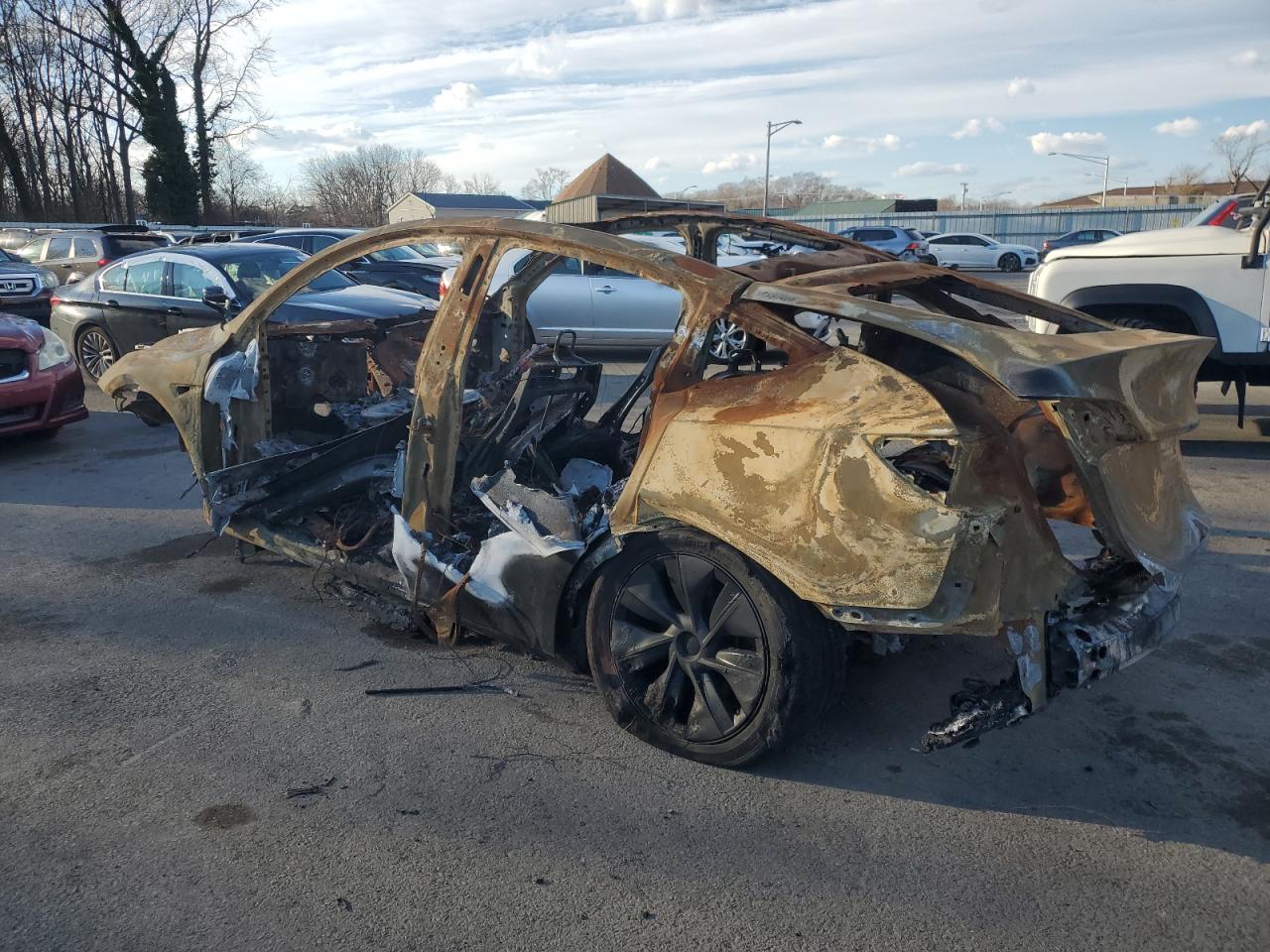 2024 TESLA MODEL Y  VIN:7SAYGDEDXRF111335