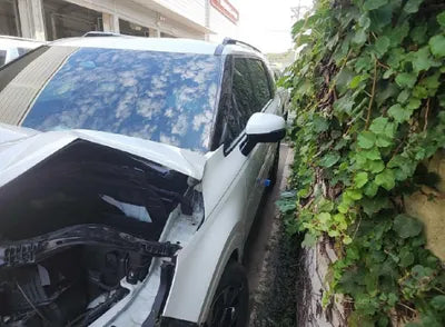 2021 Kia Carnival KNANE81BBMS067853 VIN:KNANE81BBMS067853