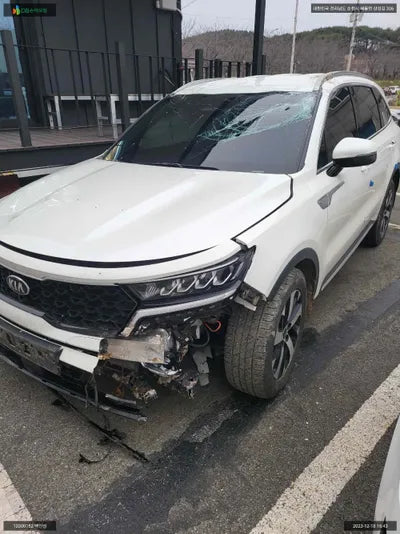 2021 Kia Sorento KNARL81BGMA090580 VIN:KNARL81BGMA090580