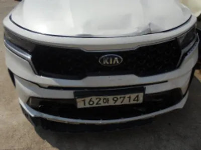 2021 Kia Sorento KNARL81BGMA079110 VIN:KNARL81BGMA079110