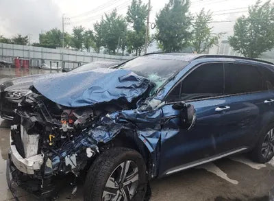 2023 Kia Sorento KNARL81GBPA160134 VIN:KNARL81GBPA160134