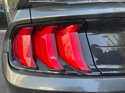 2019 Ford Mustang GT 1FA6P8CF4K5198632 VIN:1FA6P8CF4K5198632