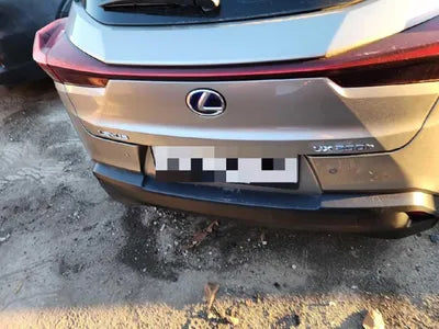 2020 Lexus UX 250 VIN: