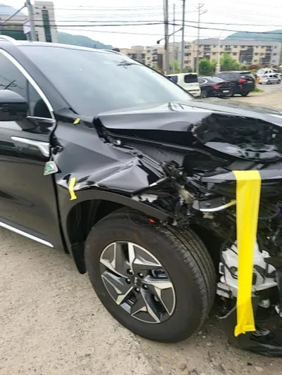 2022 Kia Sorento KNARL81GBNA105043 VIN:KNARL81GBNA105043