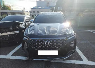 2019 Hyundai Santa FE KMHS581BBKU136785 VIN:KMHS581BBKU136785