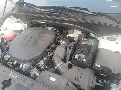 2021 Hyundai Santa FE KMHS381HHMU415644 VIN:KMHS381HHMU415644