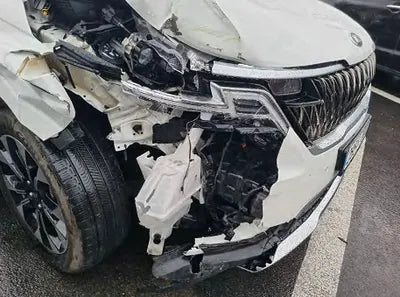 2021 Kia Carnival KNANE81BBMS024429 VIN:KNANE81BBMS024429