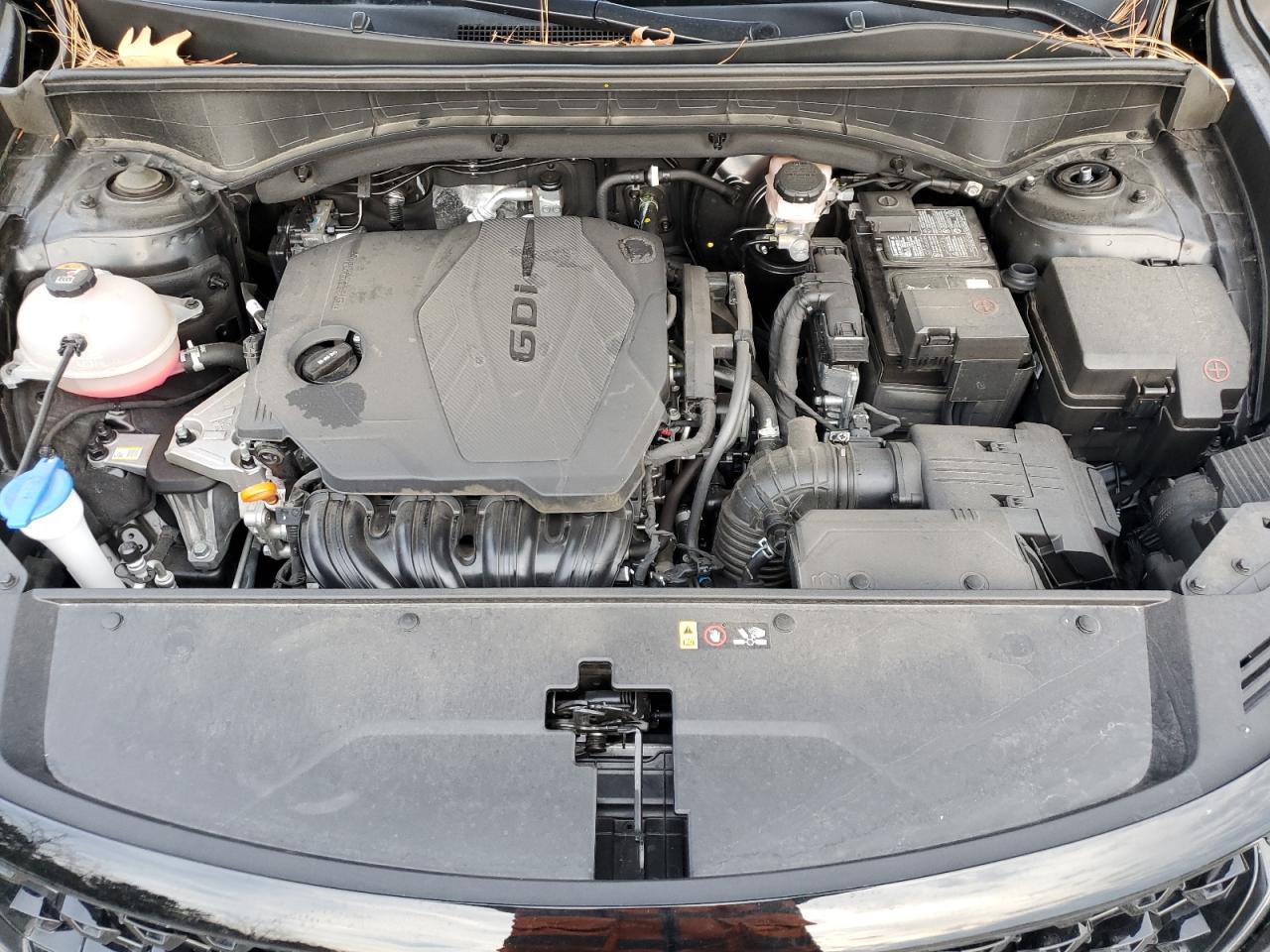 2023 KIA SORENTO S VIN:5XYRL4LC6PG232845