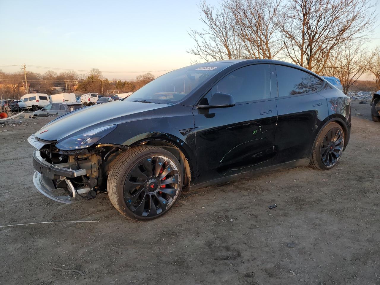 2023 TESLA MODEL Y  VIN:7SAYGDEF4PF845550