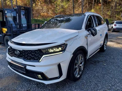 2021 Kia Sorento KNARF81FGMA104067 VIN:KNARF81FGMA104067