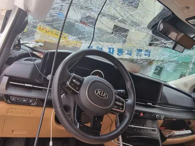 2020 Kia Carnival KNANC81BBMS015175 VIN:KNANC81BBMS015175