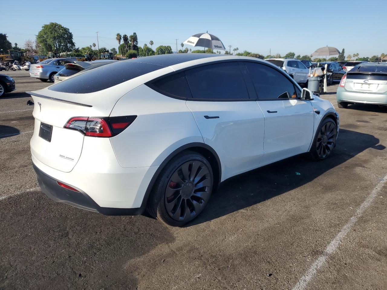 2024 TESLA MODEL Y  VIN:7SAYGDEF6RF133012