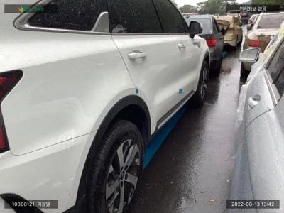 2020 Kia Sorento KNARL81BGMA056412 VIN:KNARL81BGMA056412