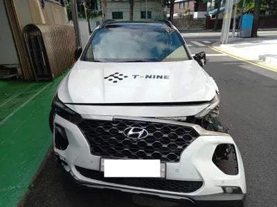 2019 Hyundai Santa FE KMHS381CDKU003486 VIN:KMHS381CDKU003486