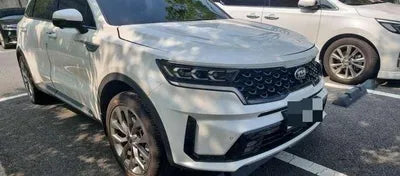 2020 Kia Sorento KNARG81BHMA001830 VIN:KNARG81BHMA001830