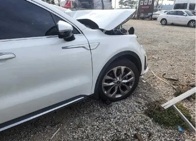 2023 Kia Sorento KNARH81BGPA194234 VIN:KNARH81BGPA194234