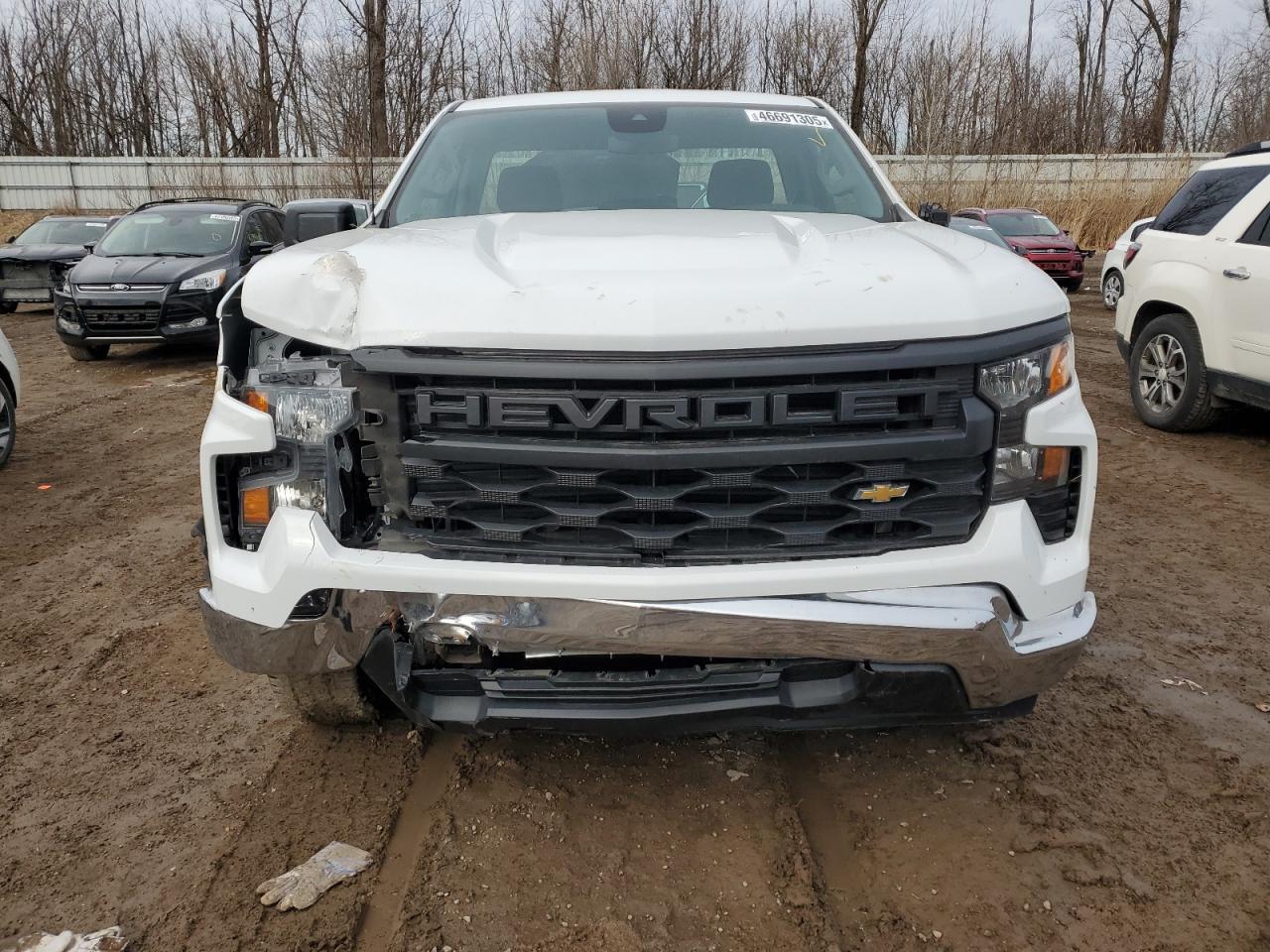 2023 CHEVROLET SILVERADO C1500 VIN:3GCNAAEDXPG293304