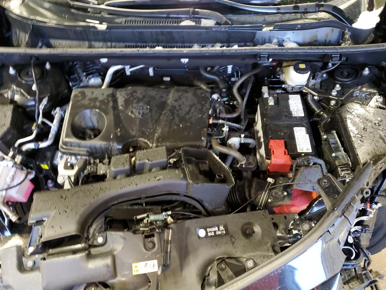 2024 TOYOTA RAV4 XLE VIN:2T3P1RFV8RC410574