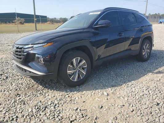 2024 HYUNDAI TUCSON BLUE VIN:KM8JBCD18RU196628