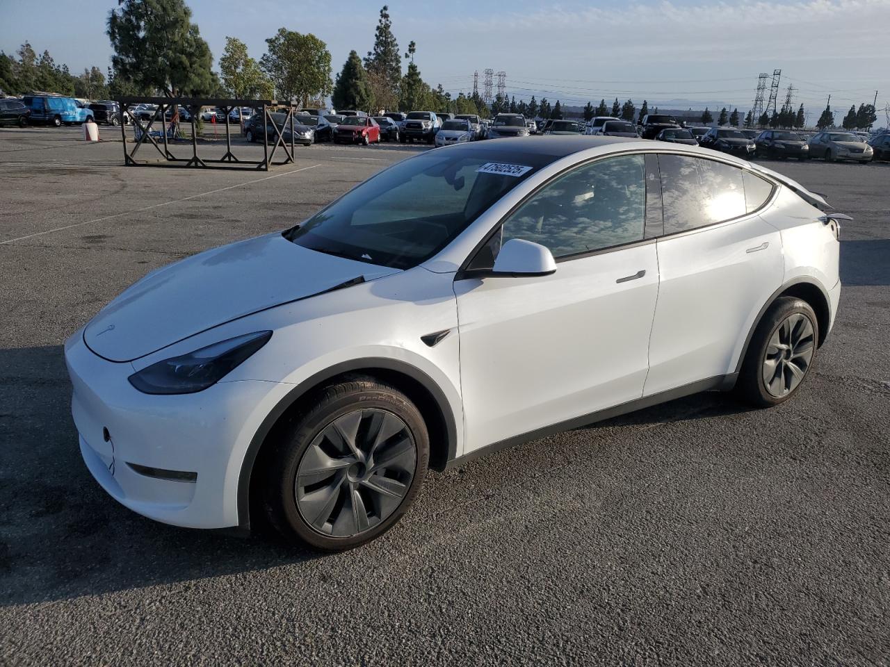 2024 TESLA MODEL Y VIN:7SAYGDED6RF110635
