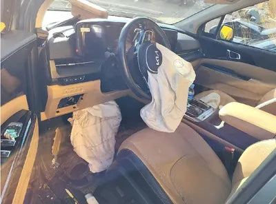 2022 Kia Carnival KNANC81BBNS149251 VIN:KNANC81BBNS149251