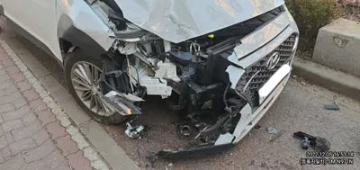 2020 Hyundai Kona KMHK4815GLU500662 VIN:KMHK4815GLU500662