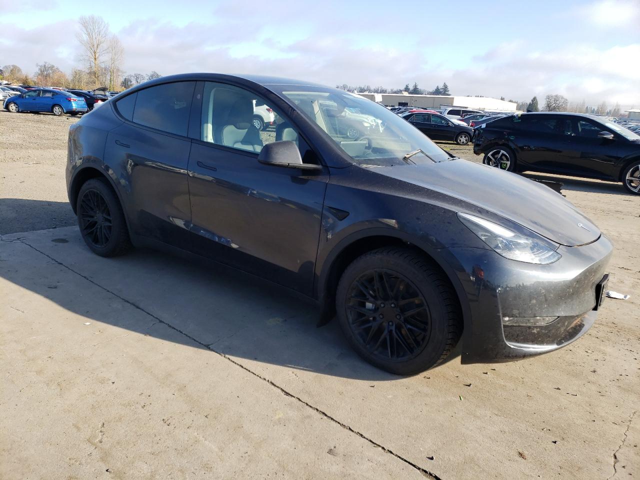2024 TESLA MODEL Y  VIN:7SAYGDEE6RF151288