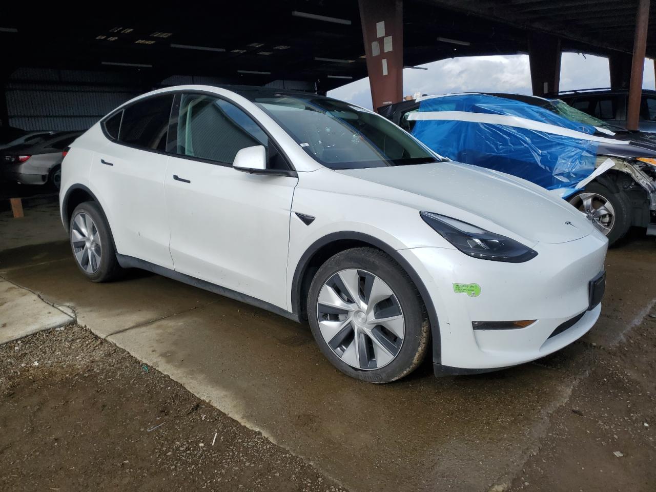 2023 TESLA MODEL Y  VIN:7SAYGDEE7PF707363