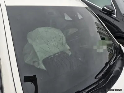 2017 Mercedes-Benz CLS 250 VIN: