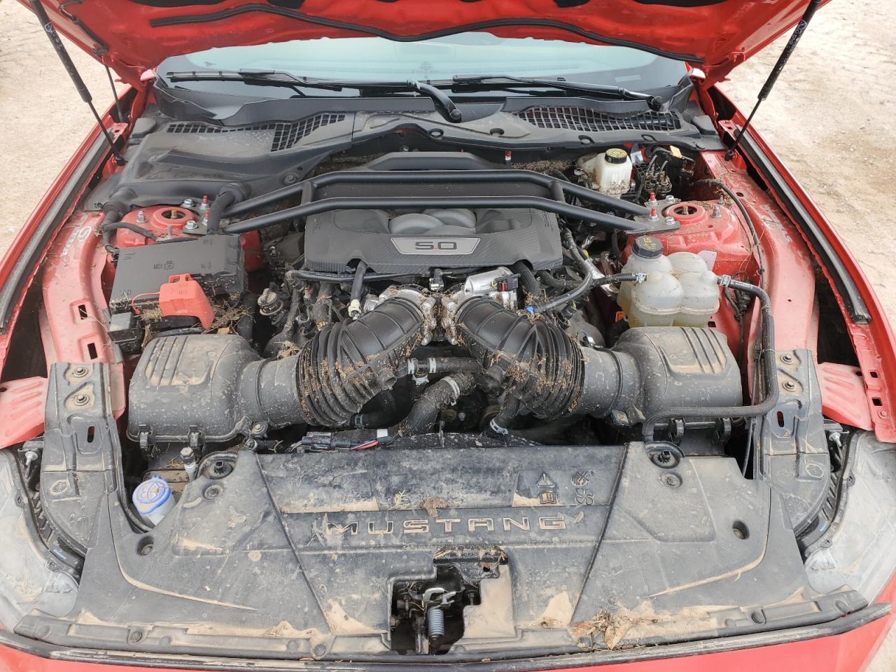 2024 FORD MUSTANG GT VIN:1FA6P8CF3R5404890