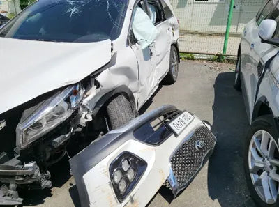 2017 Kia Sorento KNAPS81ABHA273043 VIN:KNAPS81ABHA273043