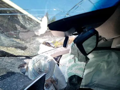 2020 Hyundai Santa FE KMHS381BBLU305856 VIN:KMHS381BBLU305856