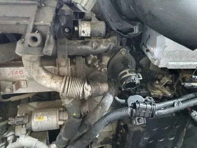 2017 Kia Sorento KNAPS81ABJA391504 VIN:KNAPS81ABJA391504