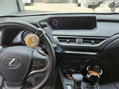 2020 Lexus UX 250 VIN: