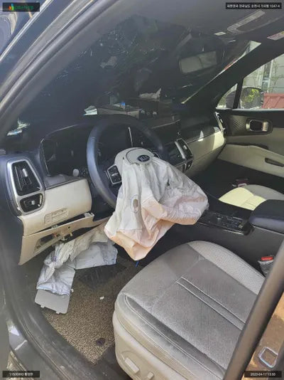 2021 Kia Sorento KNARK81GDMA031323 VIN:KNARK81GDMA031323