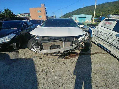 2021 Kia Sorento KNARH81GBMA042059 VIN:KNARH81GBMA042059